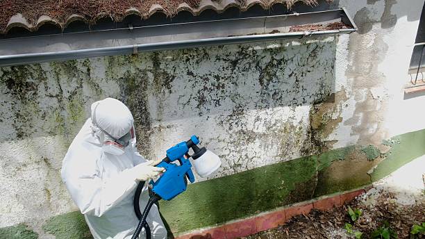 Trusted Bathroom Mold Removal service in Westwood, PA - Cheap Mold Removal